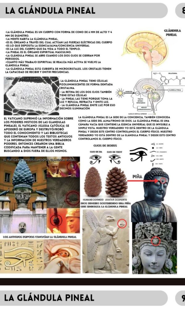 photo_5001538727171525425_y